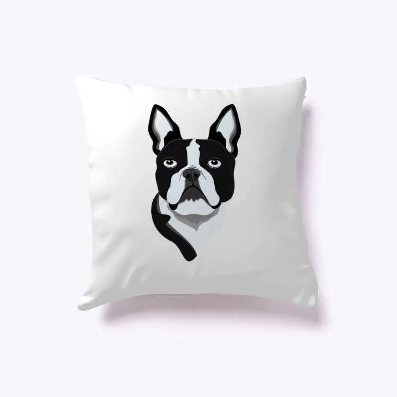 Amazing Boston Terrier