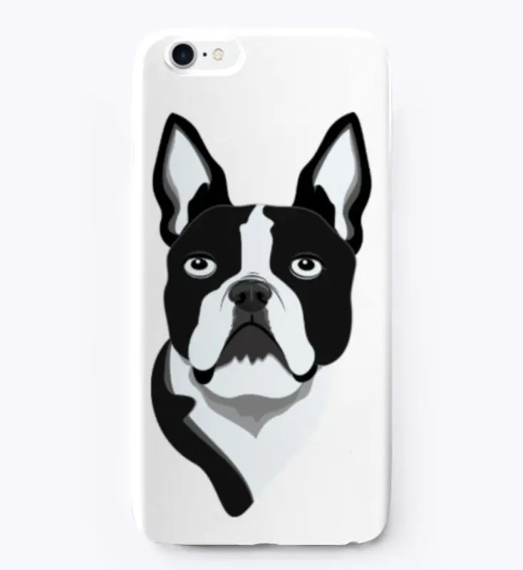 Amazing Boston Terrier