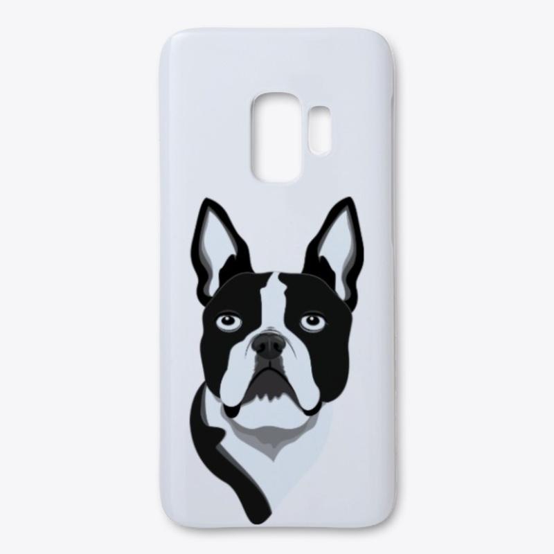 Amazing Boston Terrier