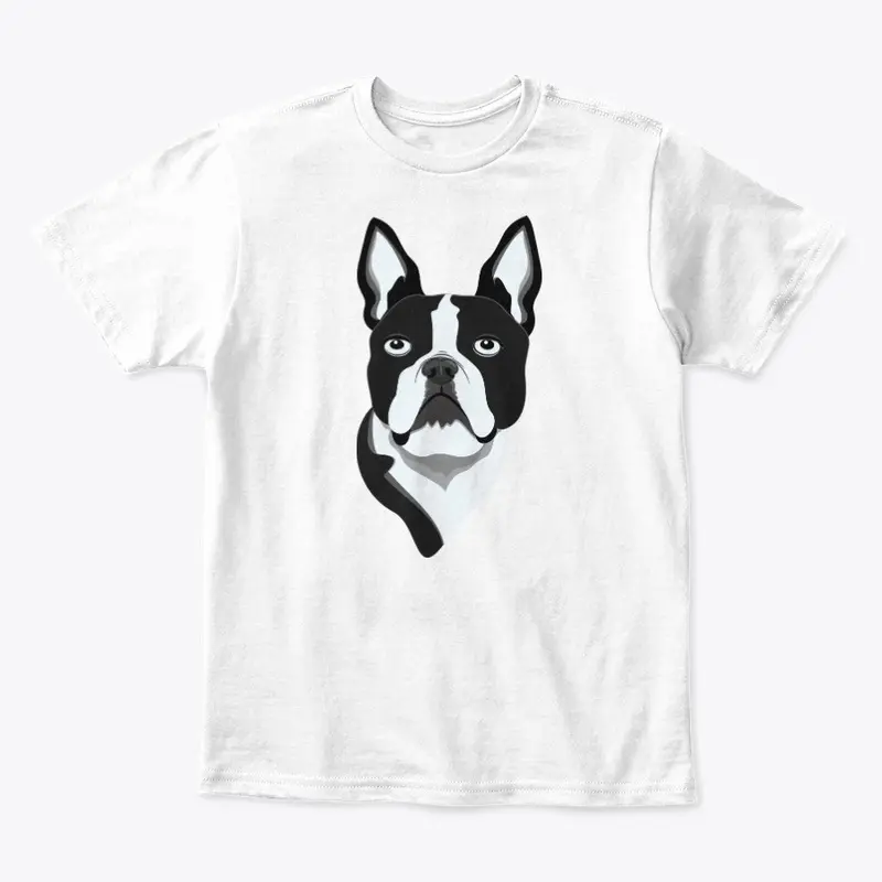 Amazing Boston Terrier