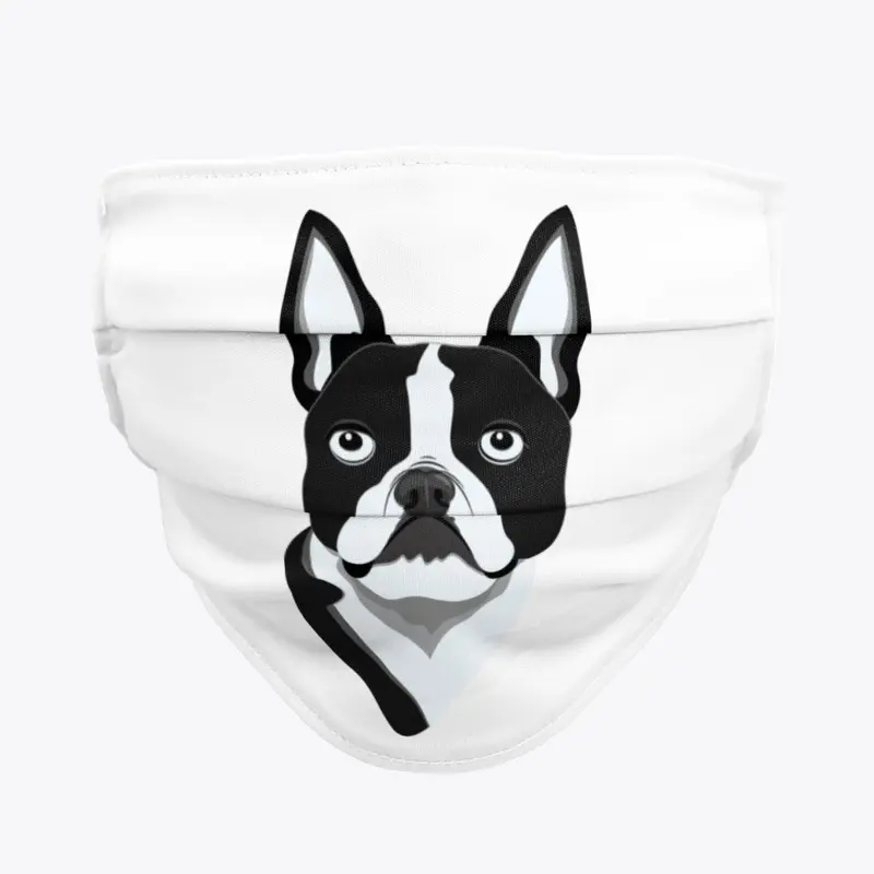 Amazing Boston Terrier