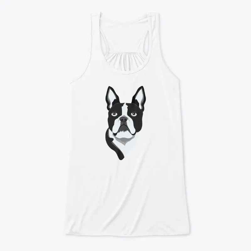 Amazing Boston Terrier